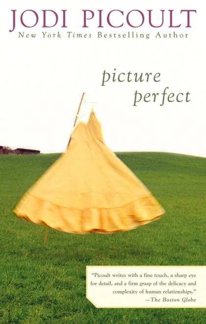 Picture Perfect STANDARD