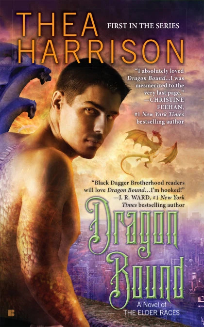 Dragon Bound STANDARD
