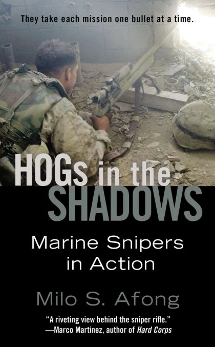 Hogs in the Shadows STANDARD
