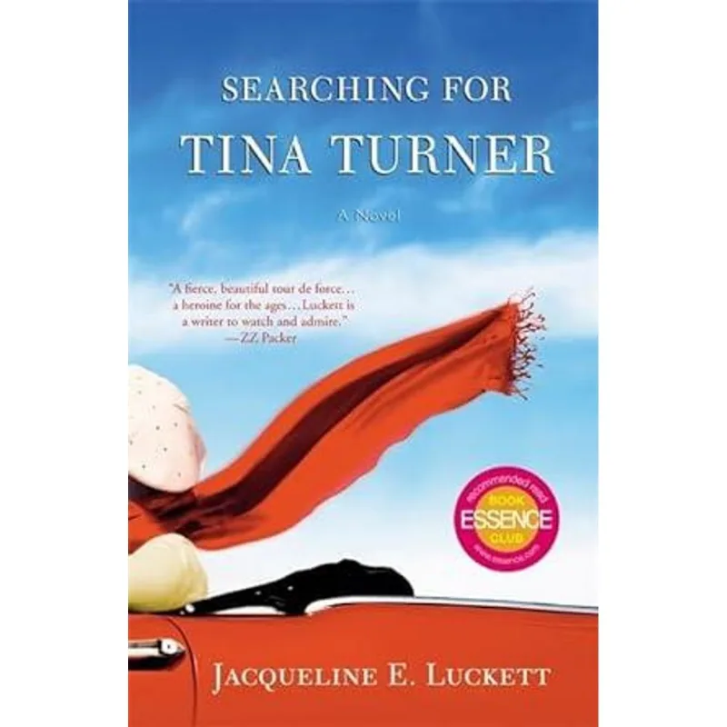 Searching For Tina Turner