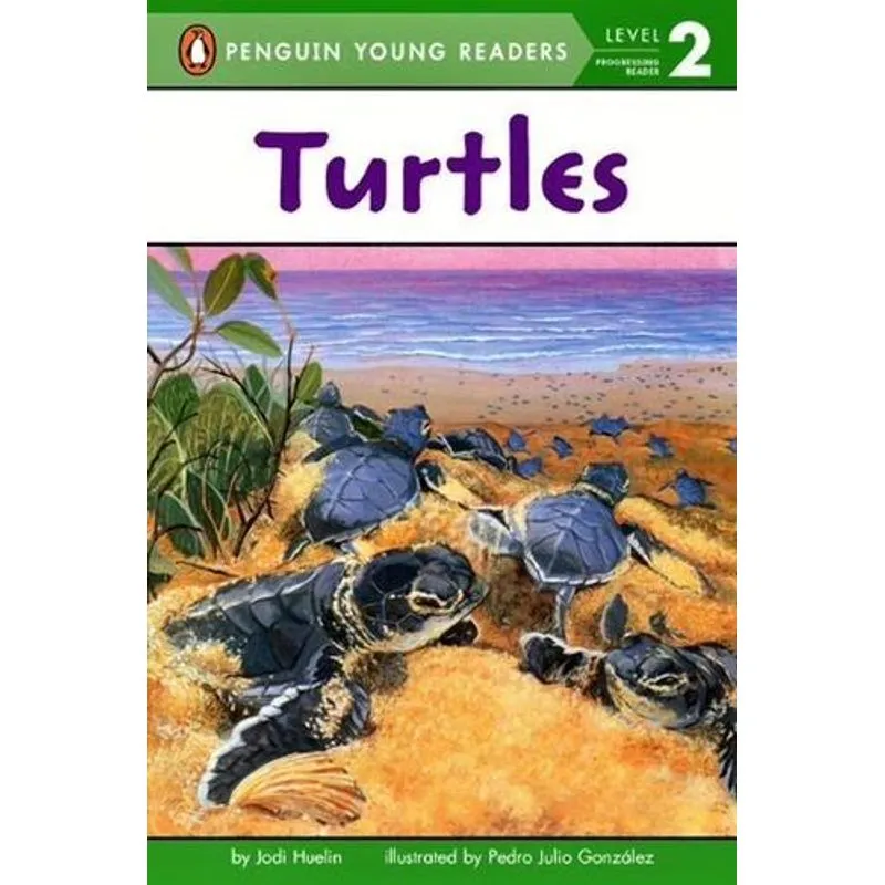 Turtles