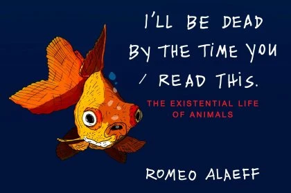 I'll Be Dead by the Time You Read This STANDARD