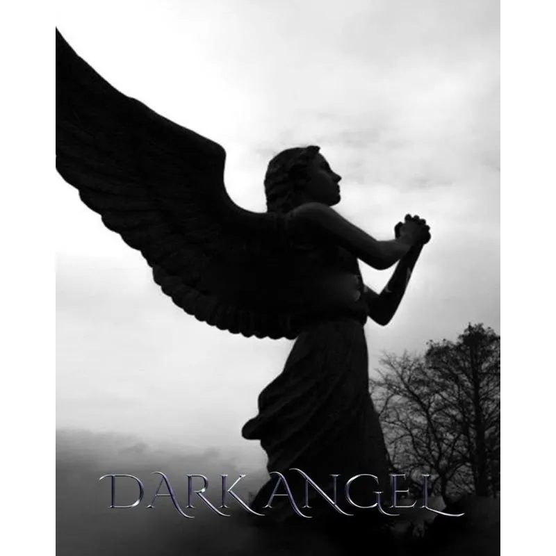 Dark Angel Journal