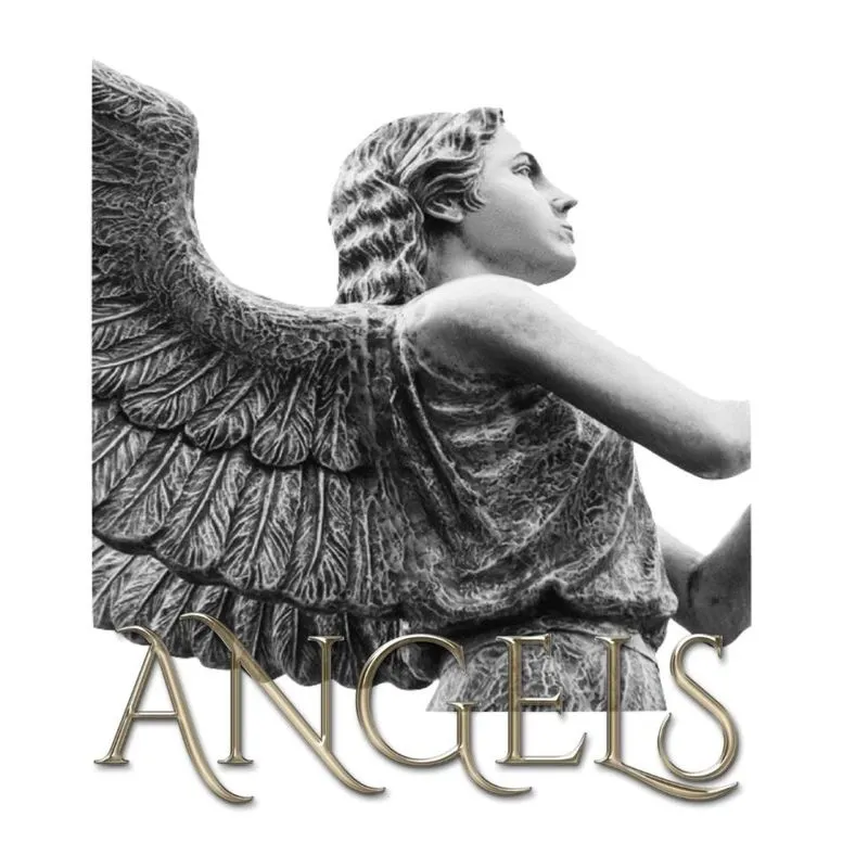 Angel Journal