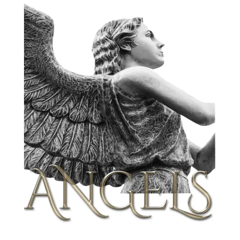 Angel Journal