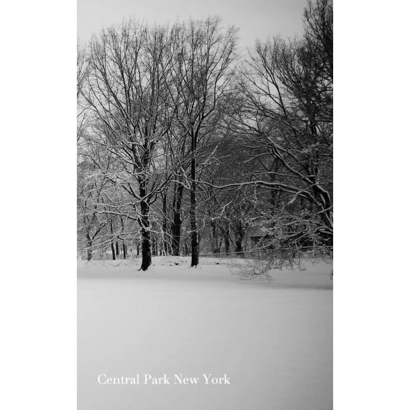 Central Park New York Journal