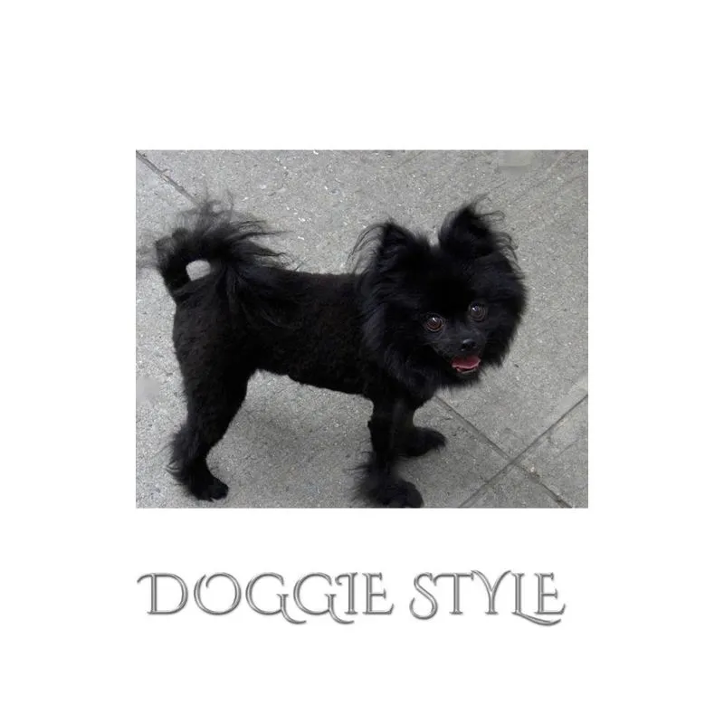 Doogie Style Pomeranian Journal