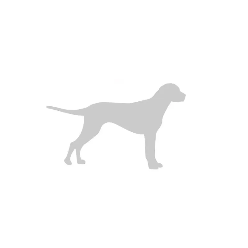 Dog Minamilist Journal