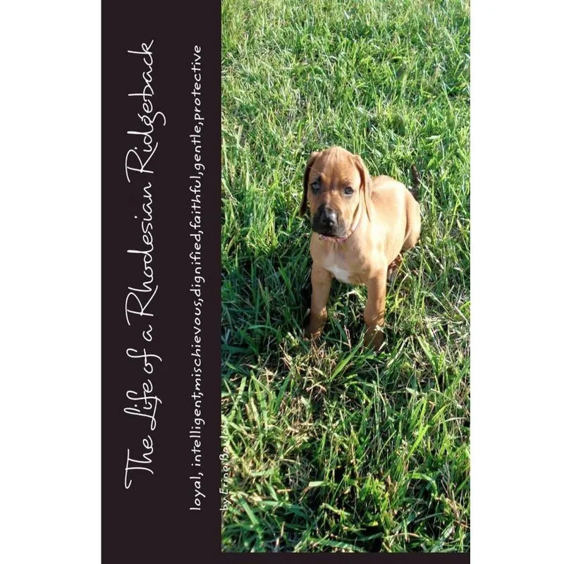 The Life of a Rhodesian Ridgeback