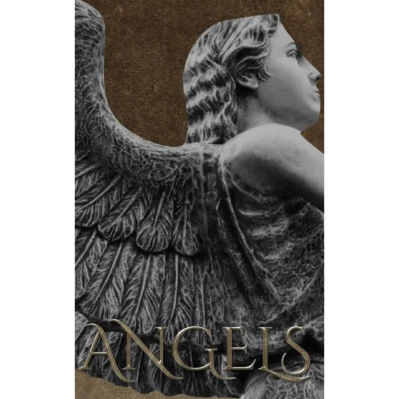 angel Writing Drawing journal