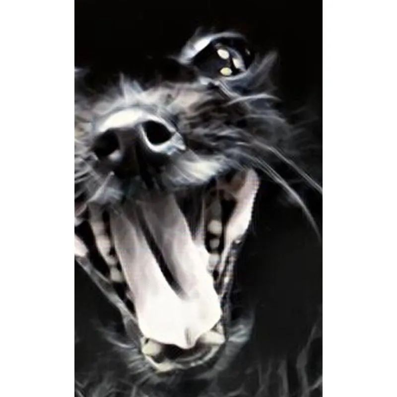 Roar Black Pom drawing Journal
