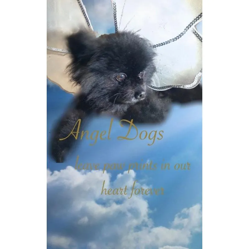 Angel Dogs in Heaven