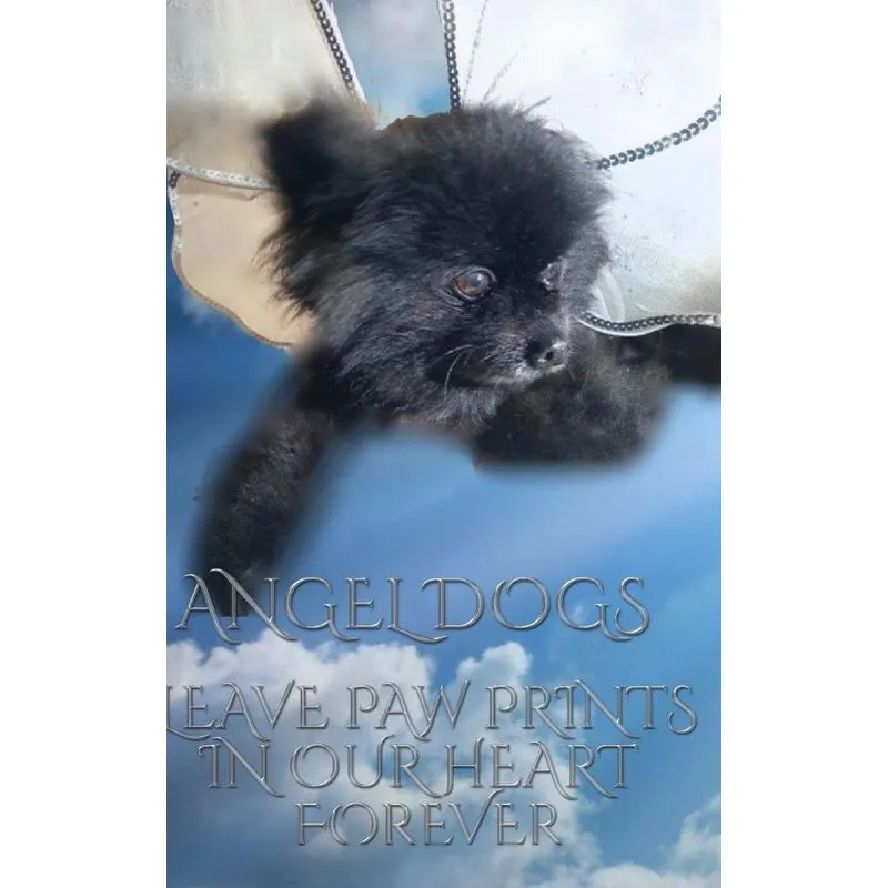 Angel Dogs in Heaven