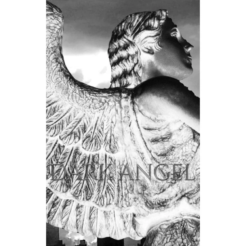 Dark Angel Writing Drawing Journal