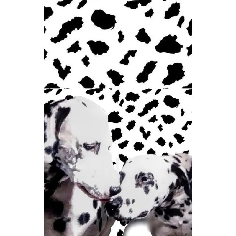 dalmatian drawing writing journal
