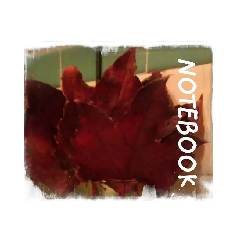 Beauty of The Season of Autumn