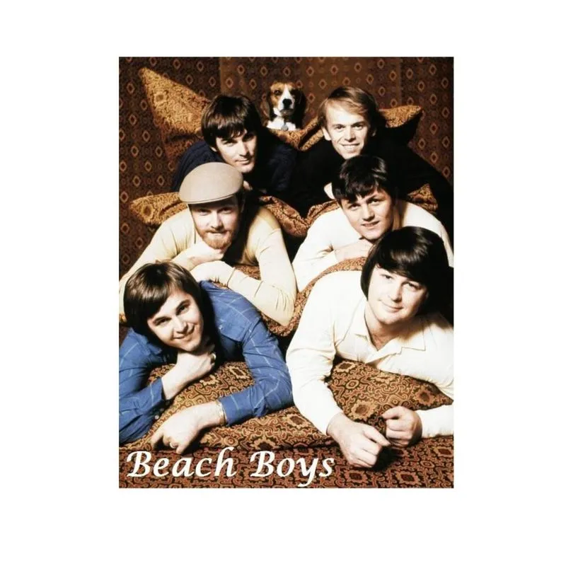 The Beach Boys