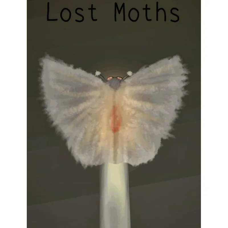 Lost Moths