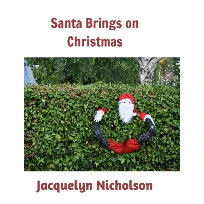 Santa brings on Christmas
