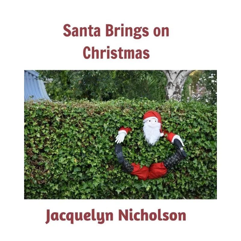 Santa brings on Christmas