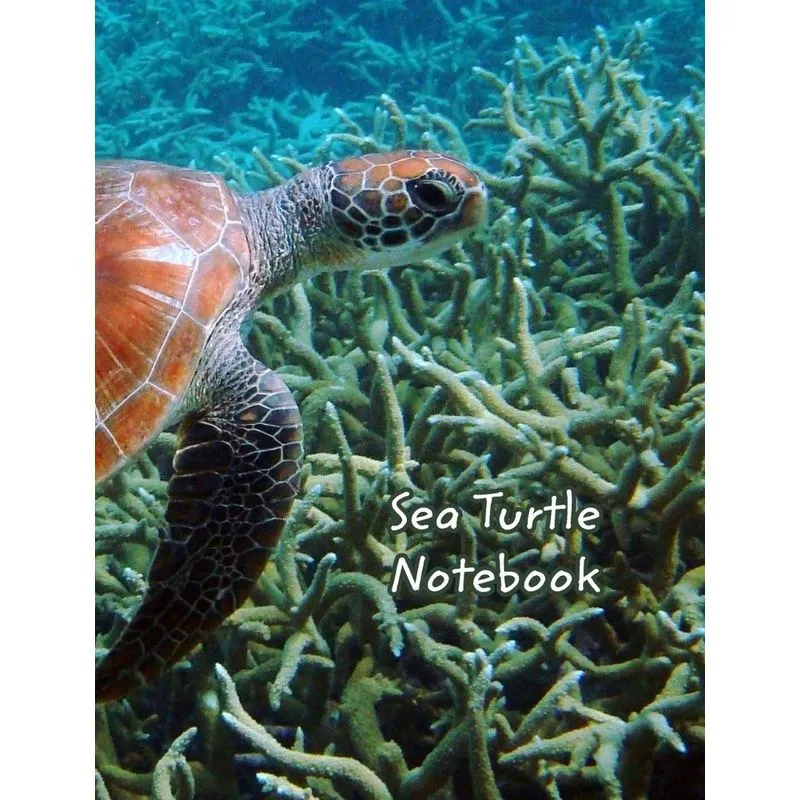 Sea Turtle Notebook