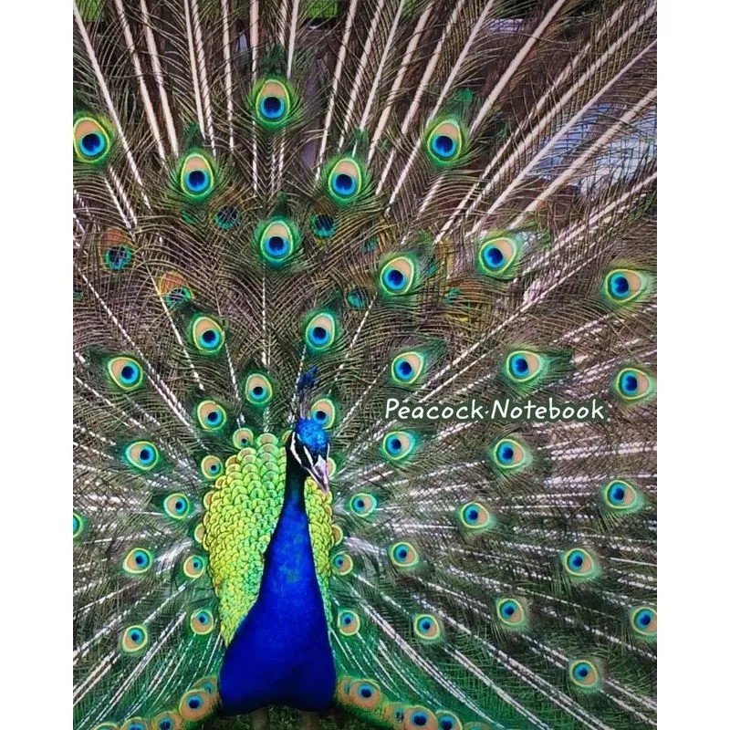 Peacock Notebook