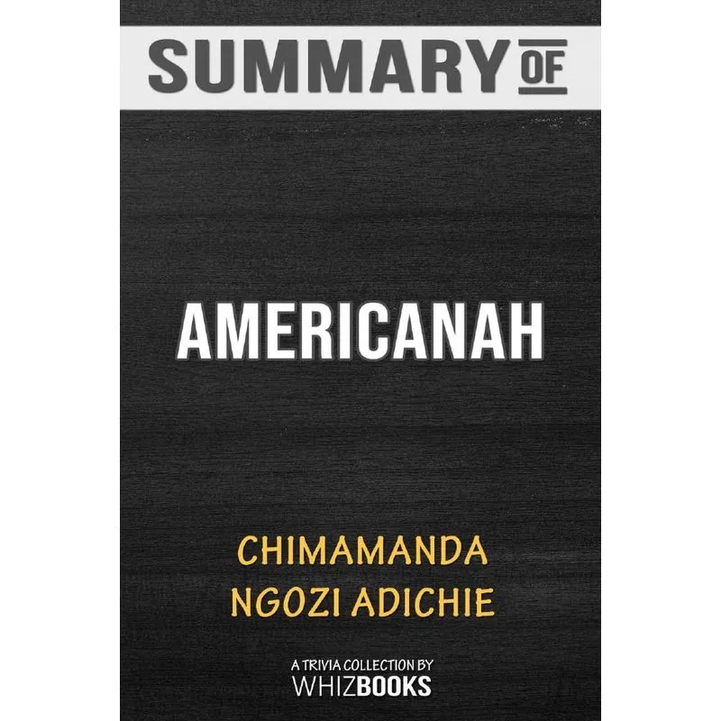 Summary of Americanah