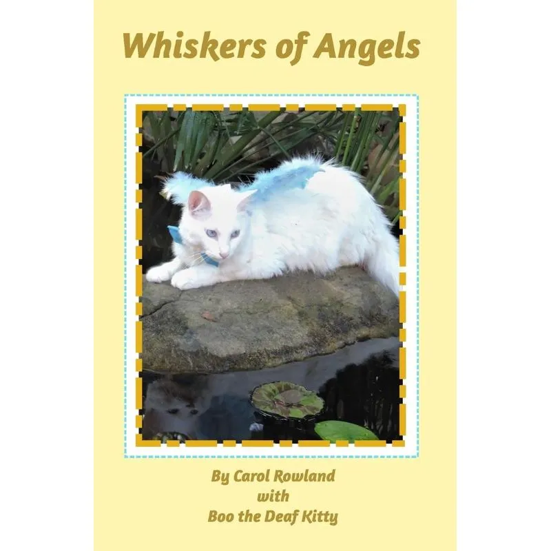 Whiskers of Angels