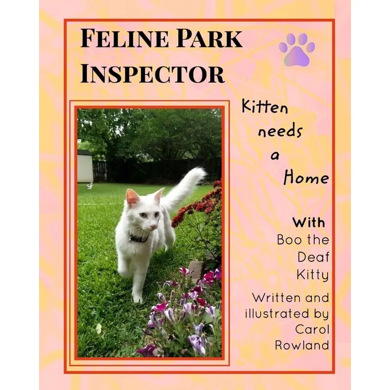 Kitten Needs a Home