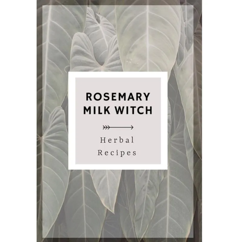 Rosemary Milk Witch Herbal Recipes