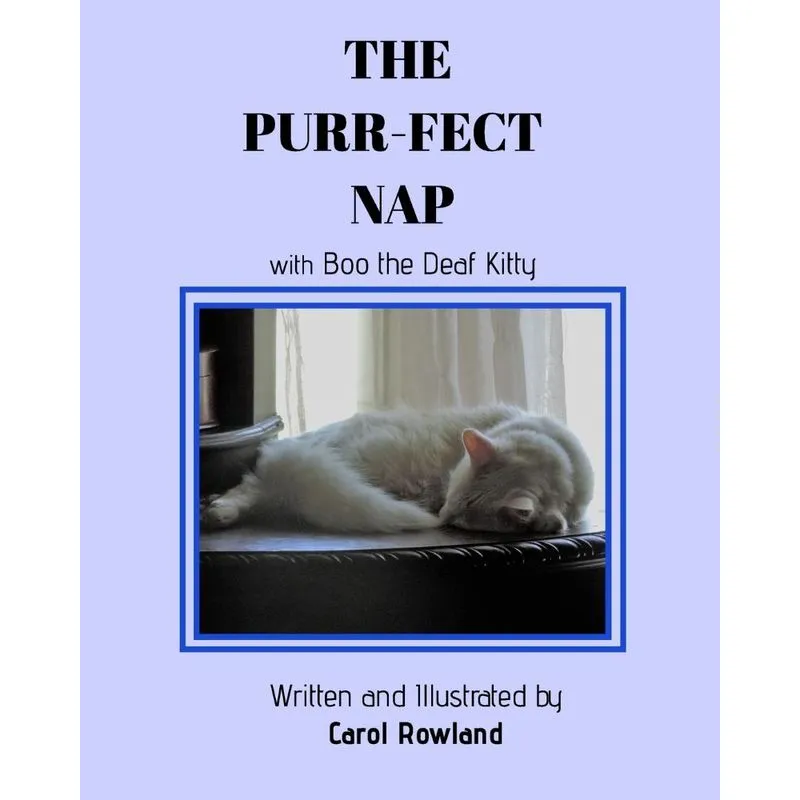 The Purr-fect Nap