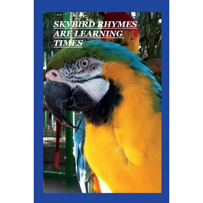 Sky Bird Rhymes Are Learning Times