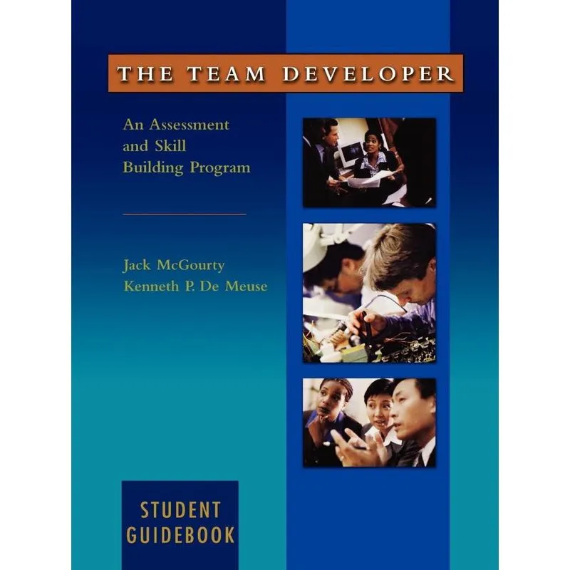 The Team Developer
