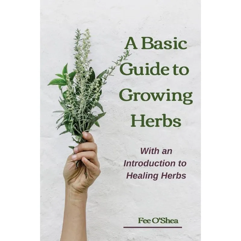 The Basic Guide To Growing Herbs