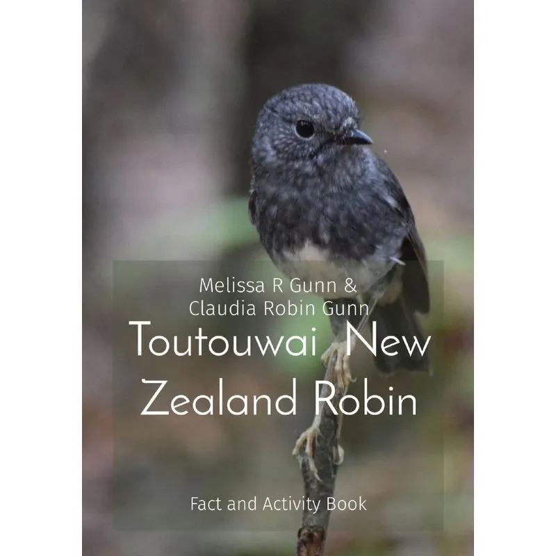 Toutouwai New Zealand Robin