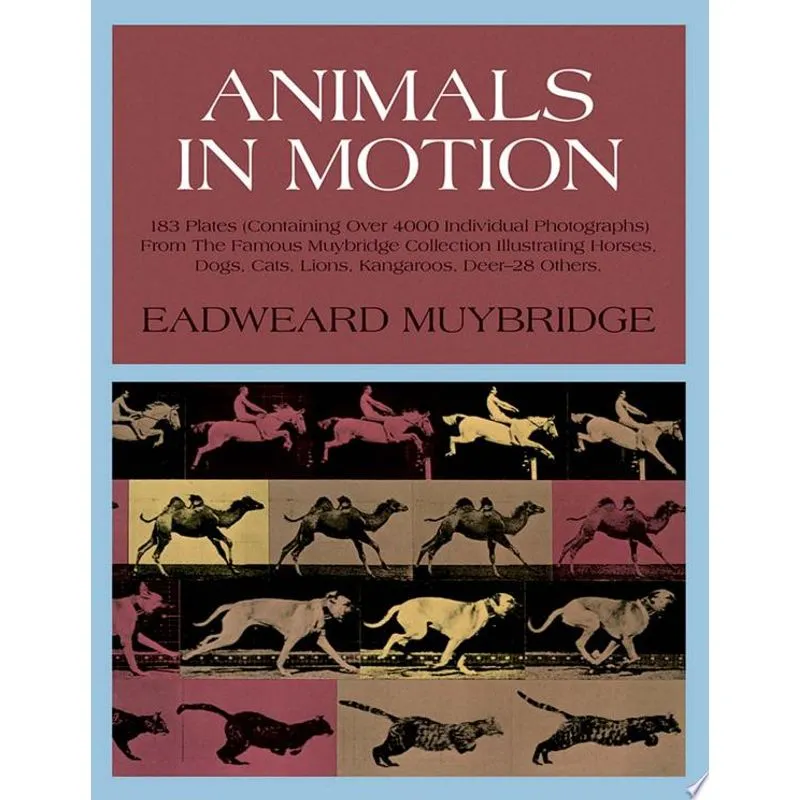 ANIMALS IN MOTION