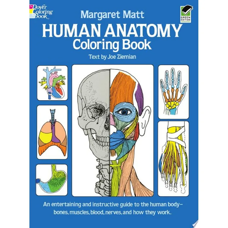 HUMAN ANATOMY COLORING BOOK