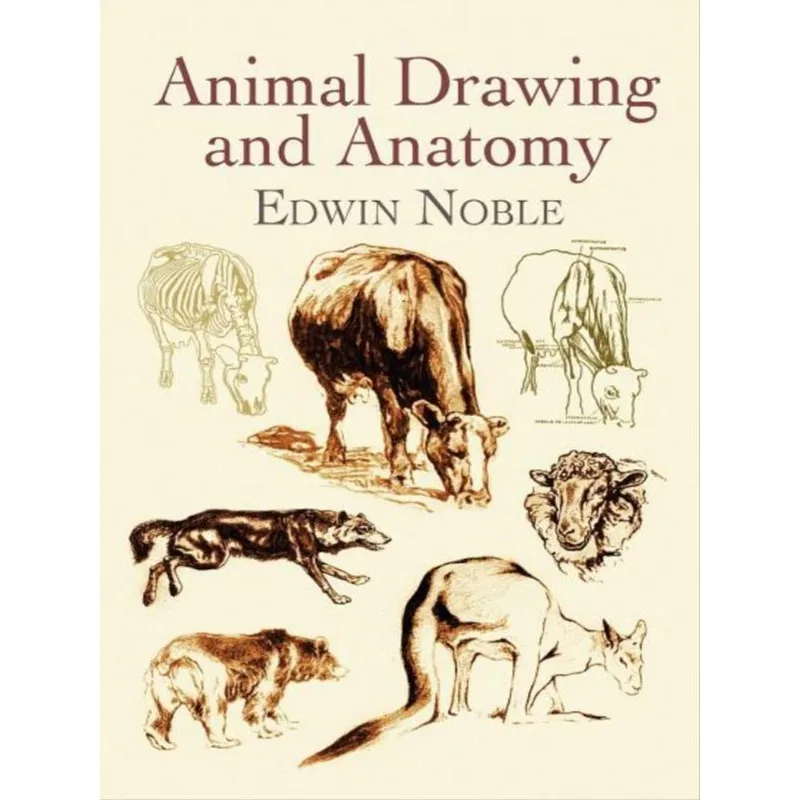 ANIMAL DRAWING AND ANATOMY