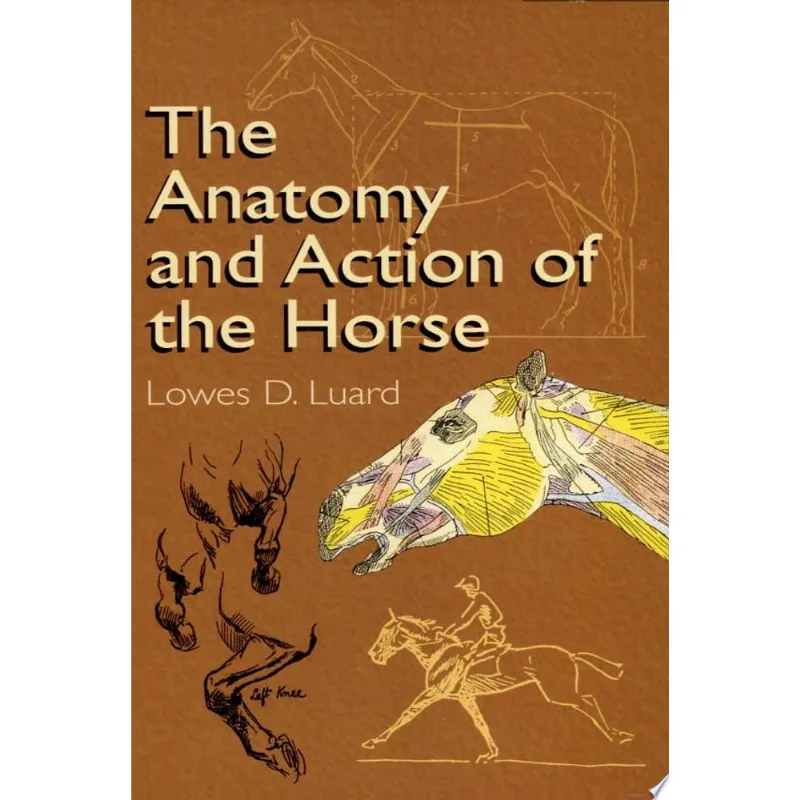 ANATOMY AND ACTION OF THE HORSE, THE