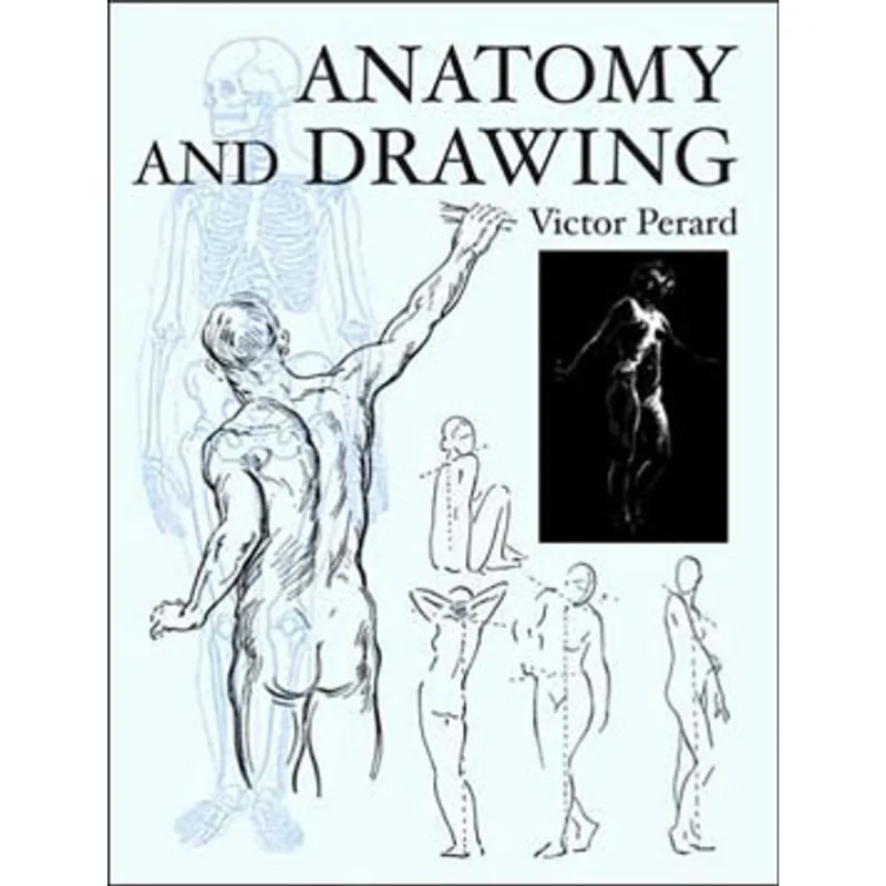 ANATOMY AND DRAWING