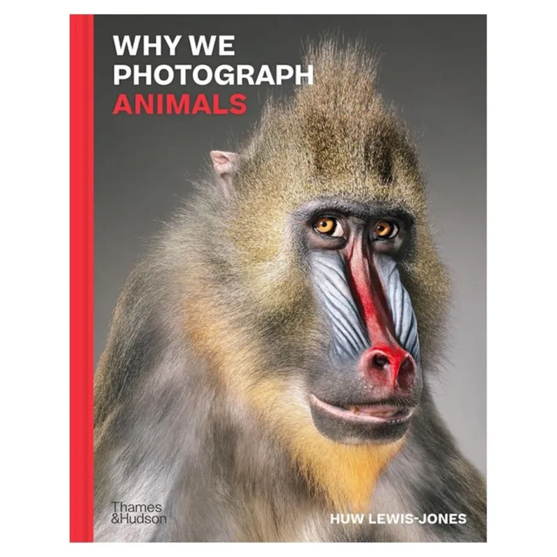 WHY WE PHOTOGRAPH ANIMALS