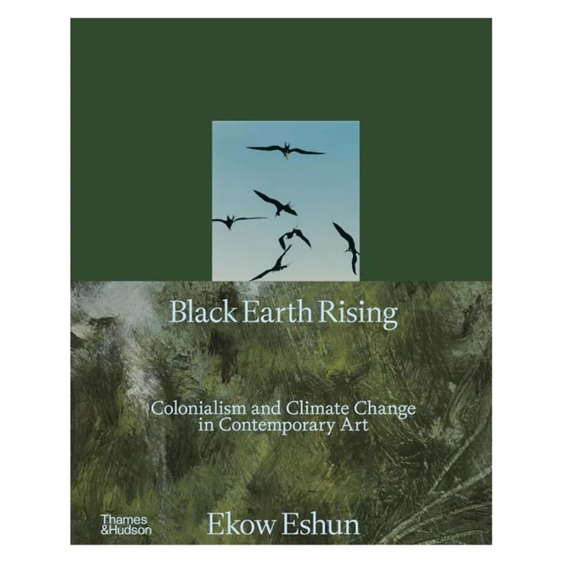 BLACK EARTH RISING