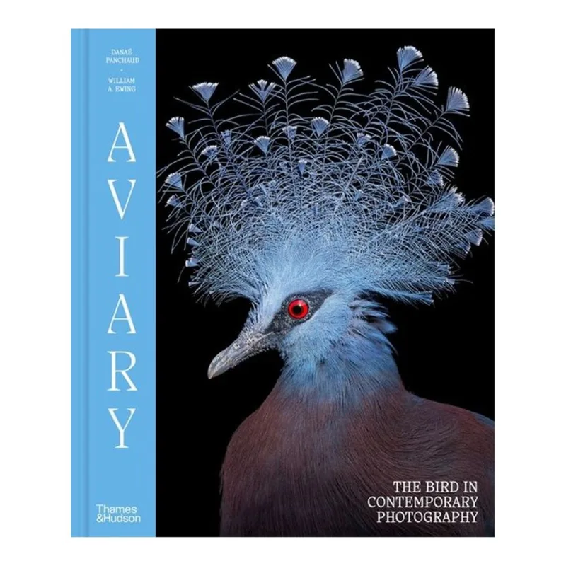 AVIARY - THE BIRD IN CONTEMPORARY PHOTOGRAPHY