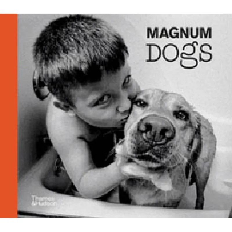 MAGNUM DOGS