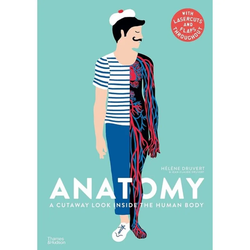 ANATOMY