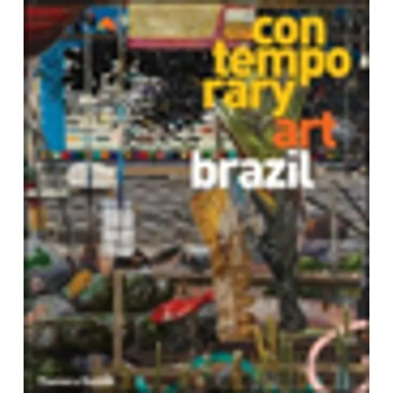 CONTEMPORARY ART BRAZIL
