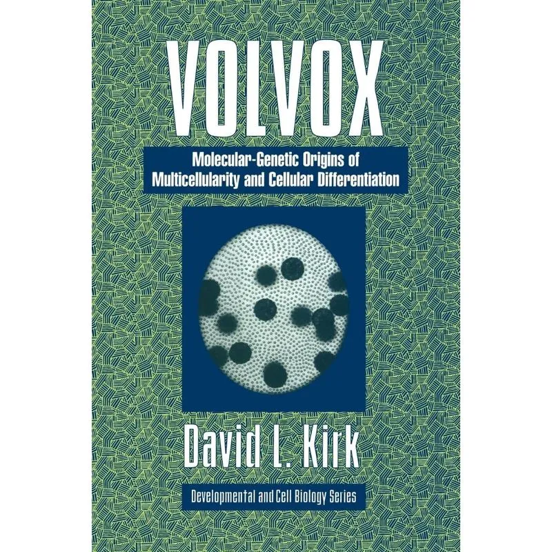 Volvox