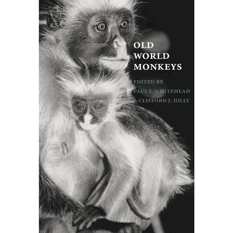Old World Monkeys