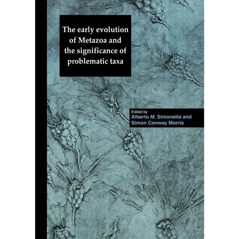 The Early Evolution of Metazoa and the Significance of Problematic Taxa