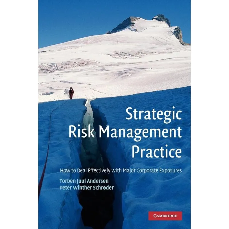 Strategic Risk Management Practice
